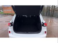 Used Ford Kuga ST-Line 150 HP (110 kW) 2023 White SUV