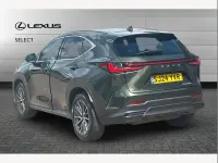 Used Lexus NX450h+ 306 HP (225 kW) 2024 Green SUV