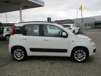 Used Fiat Panda Lounge 69 HP (50 kW) 2015 White Hatchback