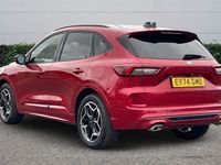 Used Ford Kuga ST-Line X 150 HP (110 kW) 2026 SUV