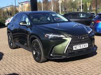 Used Lexus NX450h+ 288 HP (211 kW) 2026 Green SUV