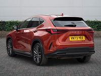 Used Lexus NX350h 2023 Orange Estate