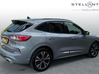 Used Ford Kuga ST-Line X 148 HP (108 kW) 2023 Grey SUV