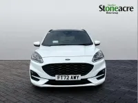 Used Ford Kuga ST-Line X 147 HP (108 kW) 2023 White SUV