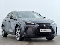 Used Lexus UX 250h Sport Design Packet 184 HP (135 kW) 2023 Grey SUV