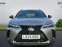 Used Lexus UX 300h Sport Line 199 HP (146 kW) 2026 SUV