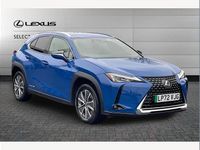Used Lexus UX 300e 150 kW (204 HP) 2023 Blue SUV