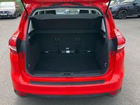 Used Ford C-MAX Titanium 125 HP (91 kW) 2019 MPV