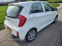 Used Kia Picanto 65 HP (47 kW) 2015 White Hatchback
