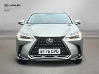 Used Lexus NX450h+ 2025 Silver SUV