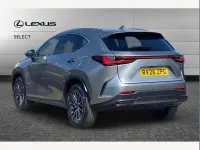 Used Lexus NX350h 194 HP (142 kW) 2026 Silver SUV