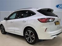 Used Ford Kuga ST-Line X 190 HP (139 kW) 2023 White SUV