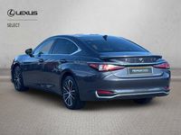 Used Lexus ES300H 2023 Grey Sedan