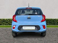 Used Kia Picanto 66 HP (48 kW) 2020 Blue breeze Hatchback