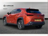 Used Lexus UX 250h Sport Design Packet 184 HP (135 kW) 2023 Orange SUV