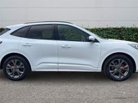 Used Ford Kuga ST-Line 190 HP (139 kW) 2023 SUV
