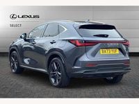 Used Lexus NX450h+ 306 HP (225 kW) 2024 Grey SUV