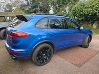 Used Porsche Cayenne 2017 Blue SUV