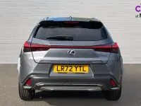 Used Lexus UX 250h Sport Line 184 HP (135 kW) 2022 Grey SUV