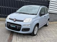 Used Fiat Panda Easy 69 HP (50 kW) 2020 Grey Hatchback