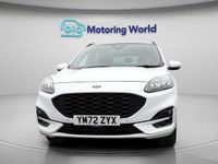 Used Ford Kuga ST-Line X 225 HP (165 kW) 2023 White SUV