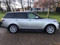 Used Land Rover Range Rover Vogue 2013 Gold SUV