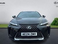Used Lexus UX 250h 184 HP (135 kW) 2024 SUV