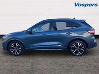 Used Ford Kuga ST-Line X 187 HP (137 kW) 2024 Blue SUV