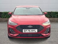 Used Ford Focus ST-Line X 155 HP (114 kW) 2024 Red Hatchback