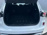 Used Ford Kuga ST-Line 150 HP (110 kW) 2023 Other SUV