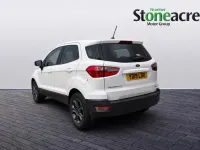 Used Ford Ecosport Zetec 100 HP (73 kW) 2019 White SUV