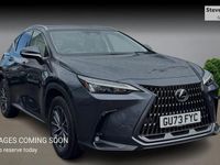 Used Lexus NX350h 2023 Grey Estate