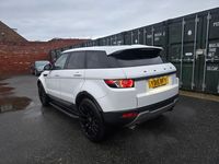 Used Land Rover Range Rover evoque Pure 2015 White Estate
