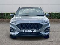 Used Ford Kuga ST-Line X 2023 Silver SUV