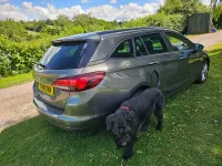 Used Vauxhall Astra 2024 Grey Estate