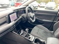 Used VW Golf VIII 150 HP (110 kW) 2023