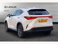 Used Lexus NX450h+ 309 HP (227 kW) 2025 White SUV