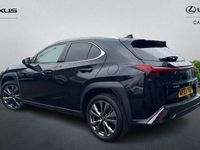 Used Lexus UX 250h Sport Design Packet 184 HP (135 kW) 2024 SUV