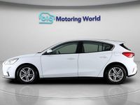 Used Ford Focus Zetec 120 HP (88 kW) 2019 White Hatchback