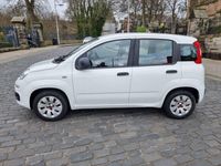 used Fiat Panda Panda 1.2My 1.2 69 Bhp Pop