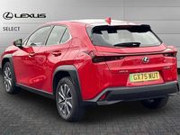 Used Lexus UX 150 kW (204 HP) 2025 Fuji red SUV
