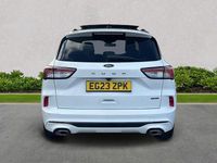 Used Ford Kuga ST-Line X 2023 White SUV