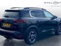 Used Citroën C5 PureTech 131 HP (96 kW) 2024 Hatchback