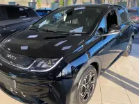 New BYD Dolphin Comfort 150 kW (204 HP) 2026 Hatchback