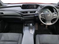 Used Lexus UX 150 kW (204 HP) 2022 Red SUV