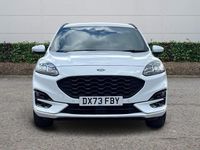 Used Ford Kuga ST-Line 190 HP (139 kW) 2023 White SUV