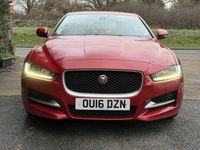 Used Jaguar XE R-Sport 240 HP (176 kW) 2016 Red Sedan