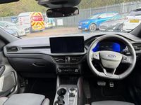 Used Ford Kuga ST-Line 239 HP (175 kW) 2025 Green SUV