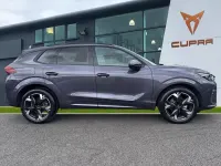 Used Cupra Terramar 150 HP (110 kW) 2025 Purple SUV
