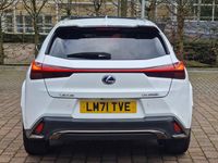 Used Lexus UX 250h Sport Line 2022 White SUV